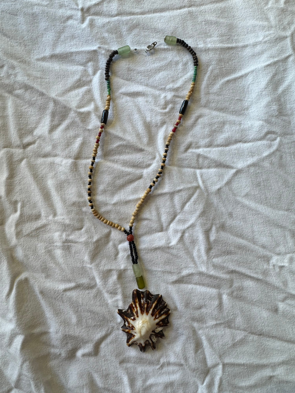Collier coquillage