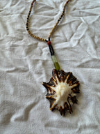 Collier coquillage