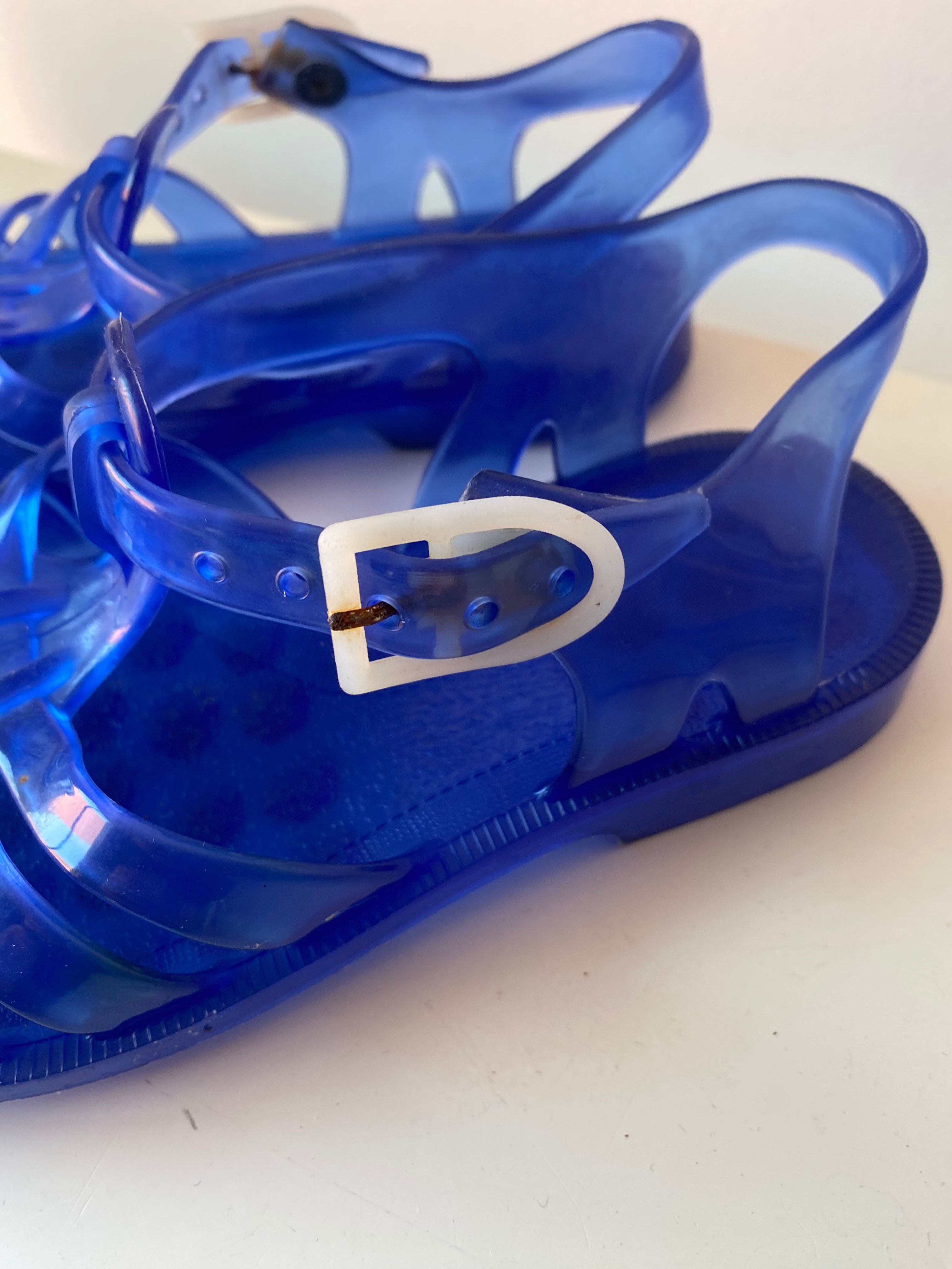 Méduse bleu