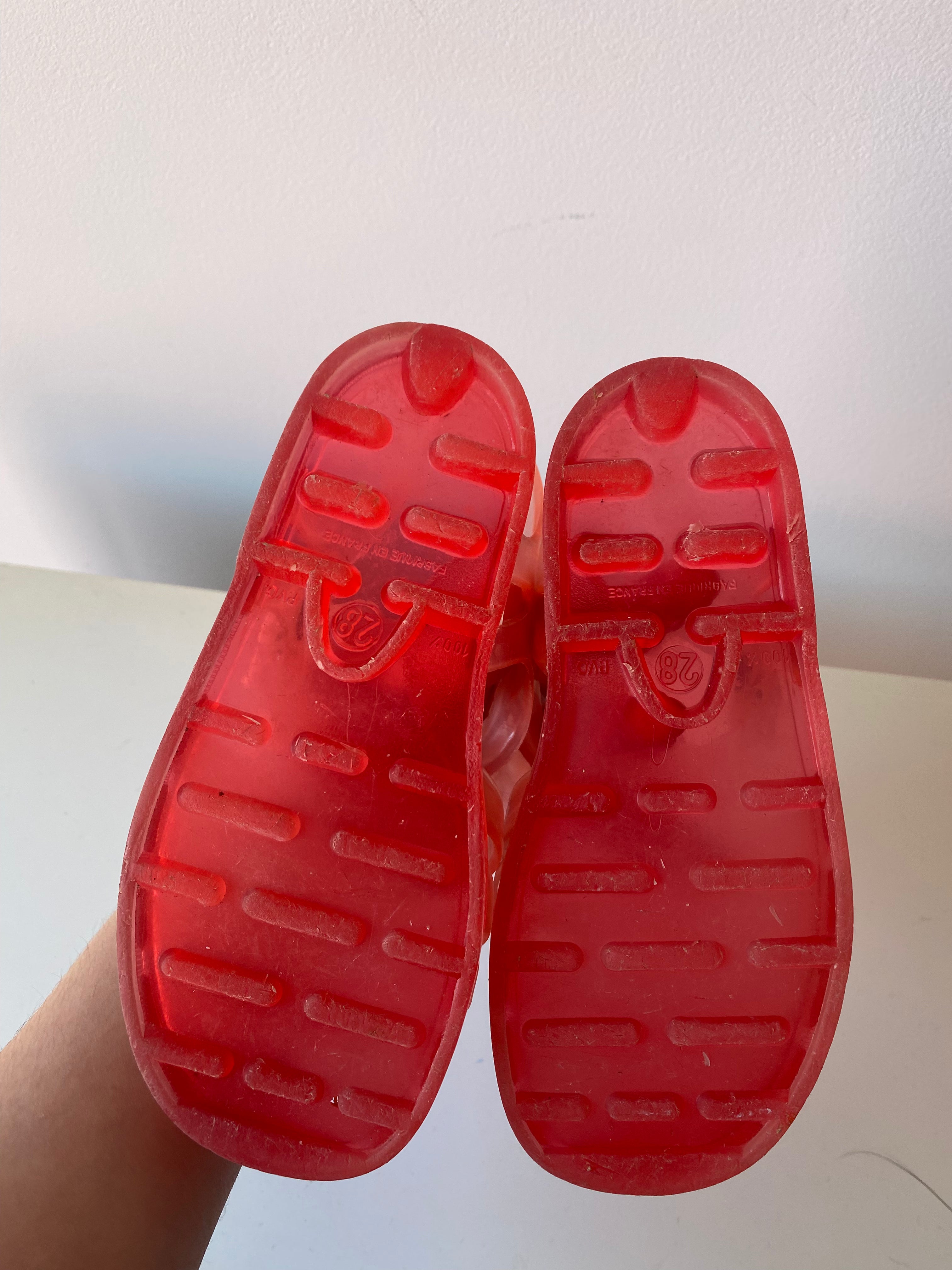 Méduse rouge