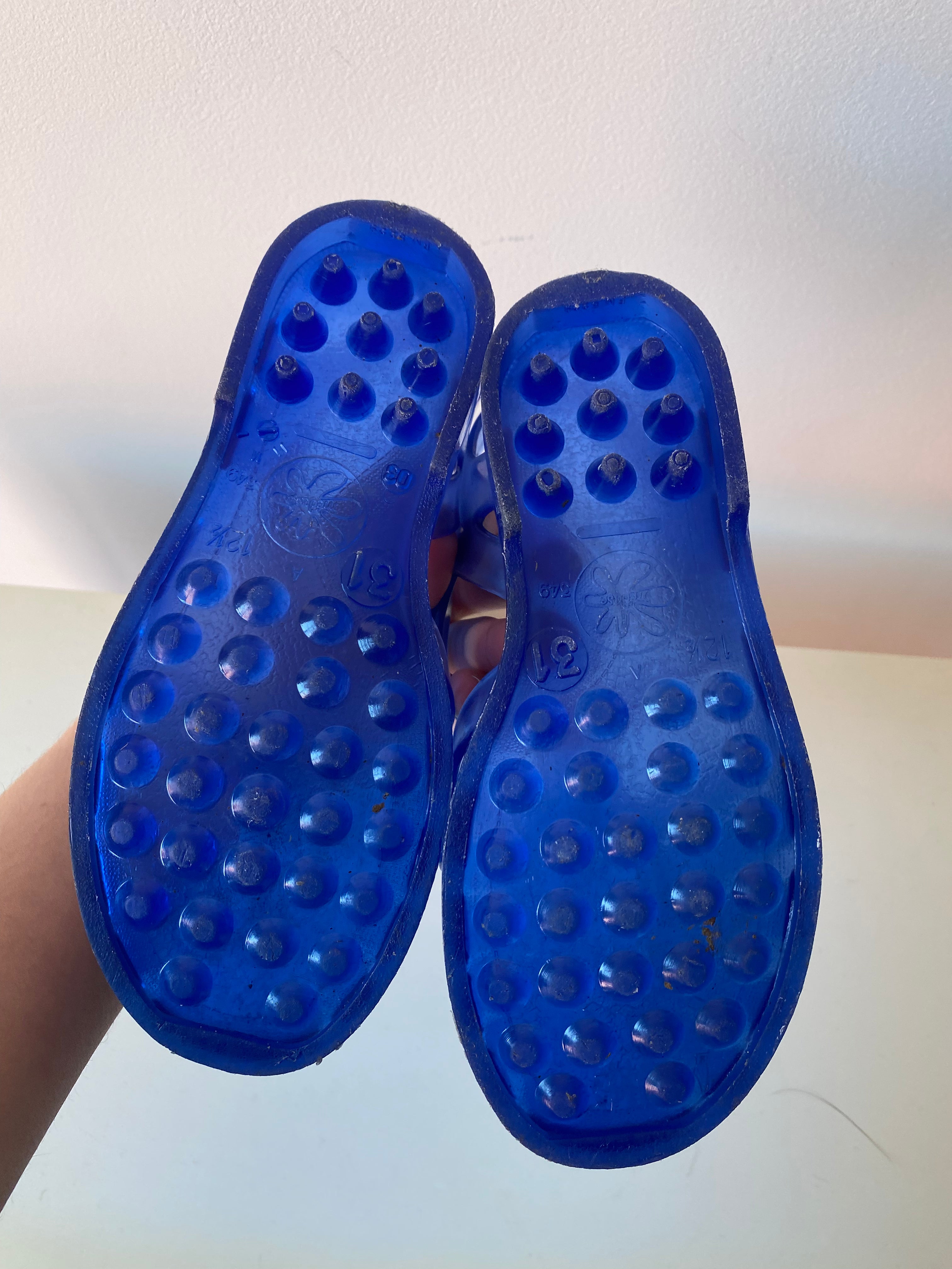 Méduse bleu